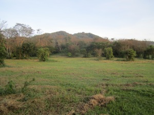 Fields around Rancho Primavera