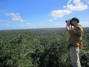 Josh scanning the skies for raptors on top of Temple 1 Calakmul